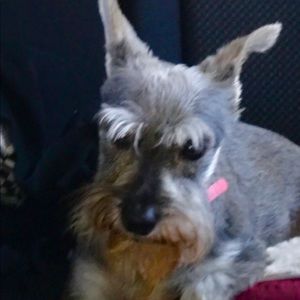 Meet your Posher, Vickie